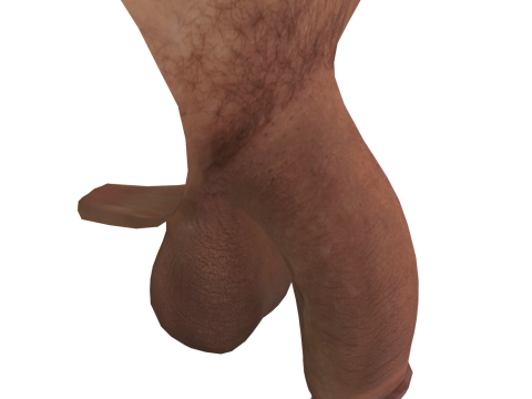 Men Penis Modelo 3D