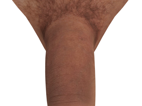 Men Penis Modelo 3D