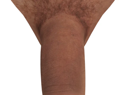 Men Penis 3D Model