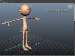 chara 3D Model