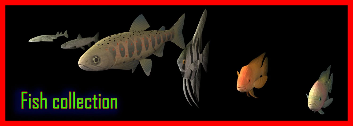 fish collection 3D Model .c4d .max .obj .3ds .fbx .stl .blend 