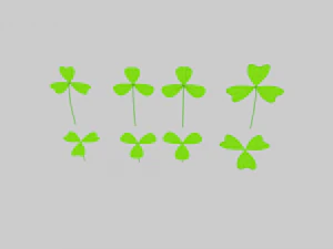 three leaf clover pack 3D Model