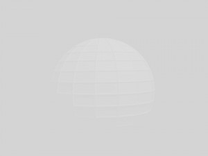 web geometry 3D Model