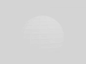 web geometry 3D Model