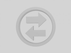 twin arrow symbol 3D Модель