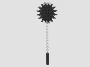 spike flail 3D-Modell