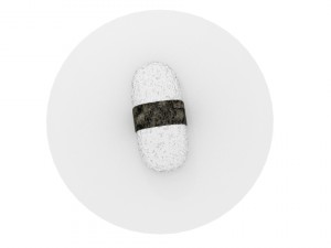 sushi 3D Model
