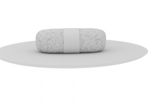 sushi 3D Model