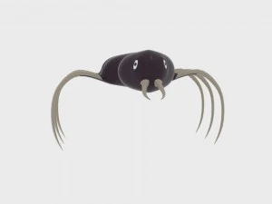 space bug 3D Model