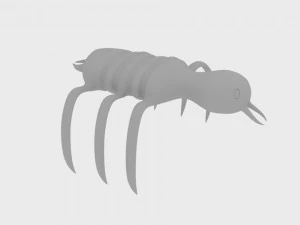 space bug 3D Model