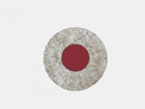 sushi round 3D Model