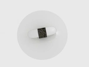sushi plate 3D Model