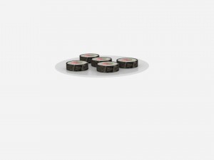 sushi roll platter Modèle 3D