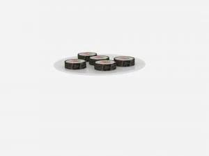 sushi roll platter 3D Model