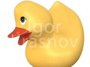 duck toy 3D मॉडल