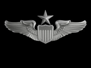 Значок старшего пилота ВВС США 3D Модель