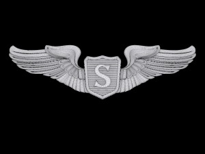 usaaf service pilot wings badge 3D Model