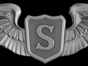 usaaf service pilot wings badge 3D Model