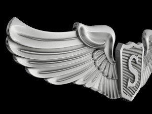 usaaf service pilot wings badge 3D Model