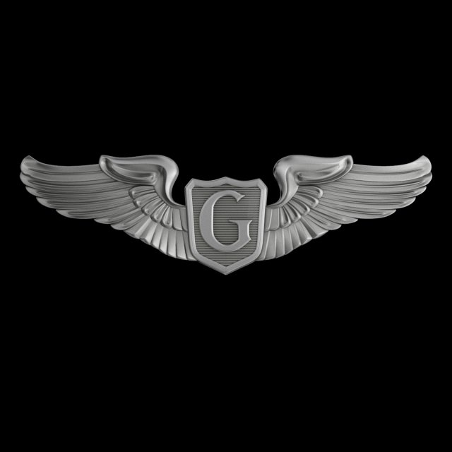 usaaf glider pilot wings badge 3D Model .c4d .max .obj .3ds .fbx .stl .blend 