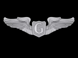 usaaf glider pilot wings badge 3D Model