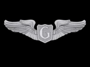 usaaf glider pilot wings badge 3D Model