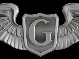 usaaf glider pilot wings badge 3D Model