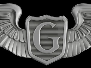 usaaf glider pilot wings badge 3D Model