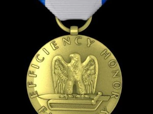 us air force good conduct medal 3D Model