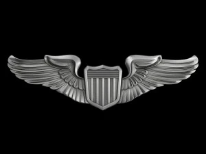 us air force pilot badge 3D Model