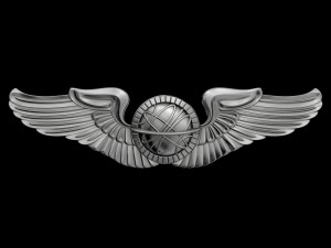 us air force navigator badge 3Dモデル