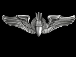 us air force wings bombardier badge Modello 3D