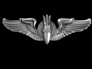 us air force wings bombardier badge 3D Model