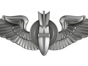 us air force wings bombardier badge 3D मॉडल
