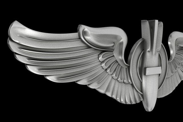 Air force wings outlet