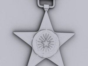 silver star medal Modello 3D
