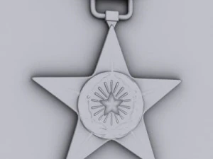 silver star medal 3D Model