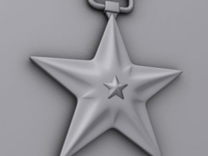 bronze star medal Modello 3D
