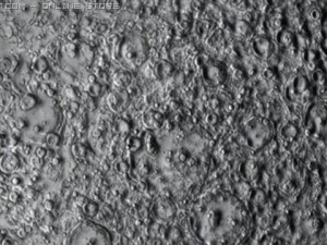 moon 3D Model