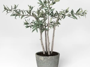 potted plant 3D Model