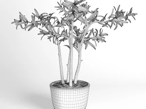 potted plant 3D Model