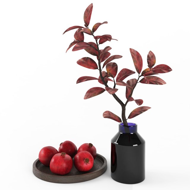 decorative set with pomegranates 3D Model .c4d .max .obj .3ds .fbx .stl .blend 
