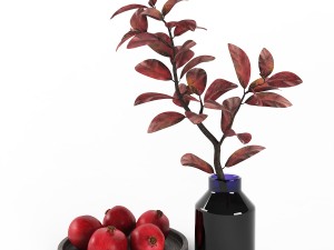 decorative set with pomegranates 3D Model