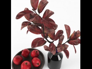 decorative set with pomegranates 3D Model