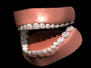 Kaori 3D Model