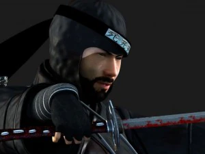 ninja Modello 3D