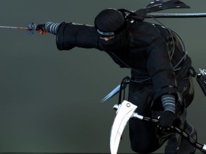 ninja 3D Model