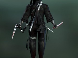 ninja 3D Model