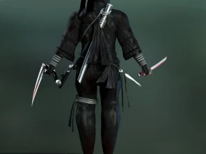 ninja 3D Model