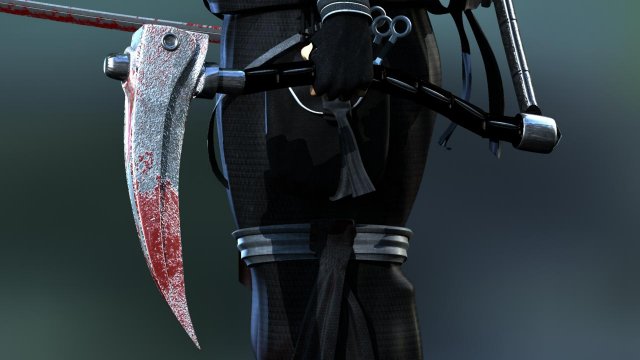 Ninja Modelo 3D In Homem 3DExport